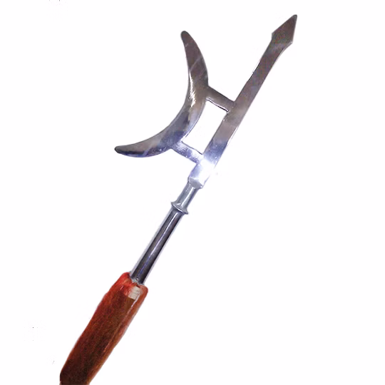 SINGLE SIDED HALBERT 单戟