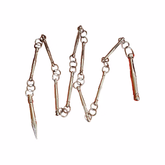 TRADITIONAL 9 SECTION WHIP 传统九节鞭