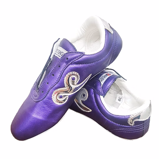 Bright Purple w/ Glossy Silver （亮紫色 配 平纹银）