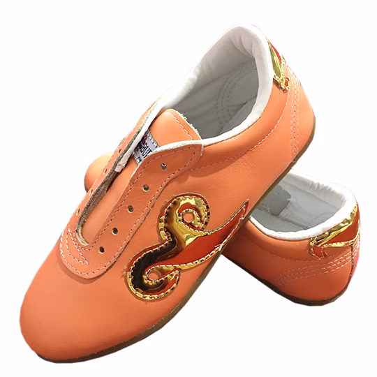 Light Salmon w/ Glossy Gold （杏红色 配 平纹金）